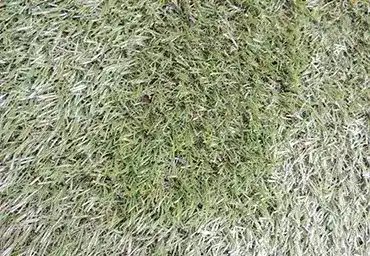 Grama Sintética Capachos Forte SP